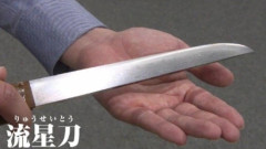 韓国人「世界に4振しか存在しない日本刀の美しさに驚きの声！」→「130年前の隕石から作られた『流星刀』とは？」