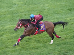 【競馬】フォーエバーヤングが芝で追い切り！速い時計を出す！