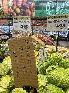 【悲報】この夏のキャベツさん、値段が限界突破ｗｗｗｗｗｗｗｗｗｗ