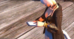 【FF14】PTメンの装備が明らかに弱かったら自分なら指摘する？野良PTで装備チェックの指摘が話題に。ヒラ勢からは「HPが2000も低かったらチェックは当然」という声も