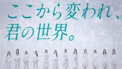 櫻坂46×乃木坂46×日向坂46、横一列に並んだ結果...【青葉坂46】