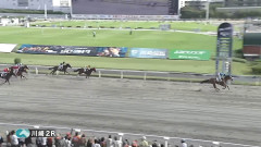 【川崎競馬】片目のサラブレッド『ドコフクカゼ』が6馬身差をつけて初勝利