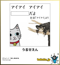 【腹筋崩壊】何度見ても笑ってしまう画像貼っていけｗｗｗｗｗ