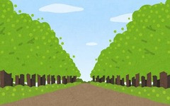 そもそもなんやが街路樹って要る？