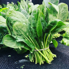 【急募】ほうれん草←こいつって実は最強の野菜じゃね？？？？？
