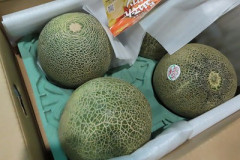 【悲報】台湾「日本から輸入した果物や海産物、検査したらやばかったわ」