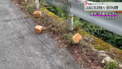 【謎】鳥取県の道路沿いに3日連続で大量の食パンが投棄。計28.5キロ（動画あり）