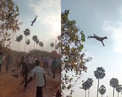 【動画】子ヤギを振り回して空中に放り投げる謎の儀式。（インド）