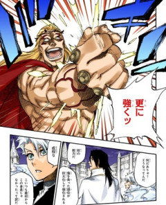 【BLEACH】千年血戦編に求められてたの