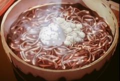 なろう「蕎麦を異世界で出したら大繁盛ｗ」←これ