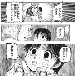 【ハンターハンター】幻影旅団に悲しき過去…