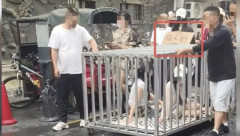 韓国人「やっぱり中国…驚きもしない」中国で再生数稼ぎのフェイク動画が横行、当局が厳しく取り締まり