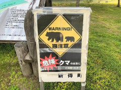 熊さんのせいでキャンプブーム終わっちゃったじゃないの!!