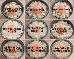 【悲報】卵かけご飯(黄身+白身+白米+醤油)に少し足すと美味しいもの教えてください