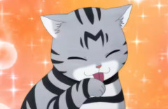 「会社に猫を連れてくる社員がいてうざい。一日中ニャーニャー鳴いてて、マジでうるさい」　→　その直後に判明した真相が恐ろしすぎて11万いいね…マジか((((( ；ﾟДﾟ)))