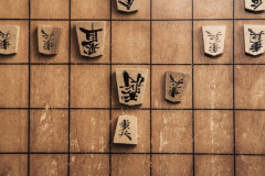 【画像】女さん、将棋を通してとんでもないセクハラをされる⇒ｗｗｗｗｗｗ