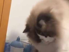 彼がイタズラをしてくる。ちょっとやめてくれない？ 気が変わったのかやめてくれた → と思ったら…