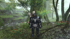 【FF14】女キャラのタンクミラプリが難しすぎる問題
