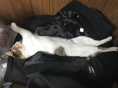 【白状】夫「嫁子、義弟嫁さんに何かした？」私「するわけないじゃん。会ったこともないし連絡先も知らないのに」夫「だよね？」→義弟夫婦と鉢合わせしないようにしていたら・・・