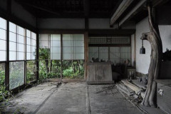 祖母の家に来たら廃墟になってて草生えすぎて草
