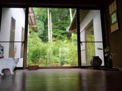 「お母さん、いつも子供のお洋服やおもちゃありがとう。トメはお古ばっかりなんだよね。夫が、お母さんと同居したいって言ってたよ」という手紙を「うっかり」トメ宅に・・・ｗ