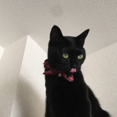 【クロ注意】 ペロン♪【再】