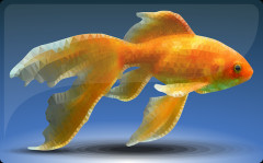 小1の娘がパンの耳を金魚に沢山あげてて怒ったんだけど、翌朝水が濁ってて金魚が4匹も氏んでて・・・