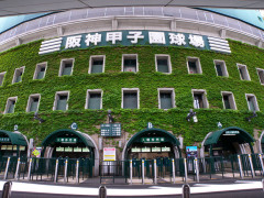 【速報】NPB、ユース制度導入ｗｗｗｗｗｗｗｗｗｗｗｗｗ