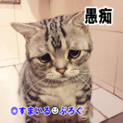 中学の時にイジメに遭った。高校で一念発起して派手系にクラスチェンジしたら今度はイジメ首謀者の濡れ衣を着せられた。無実を訴えても担任は信じてくれない