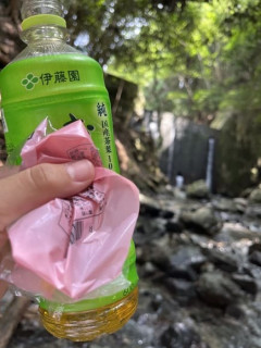 【画像】四万十川きた