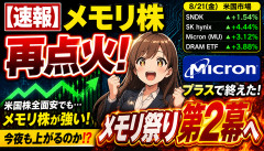 【緊急】メモリ株、突然ぶっ壊れるｗｗｗｗｗ