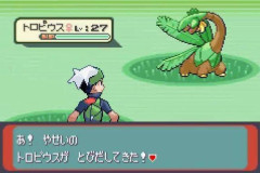 【ポケモン】！！！