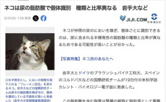 猫、尿に含まれる13種類の成分を嗅ぎ分けることで個体識別していると判明