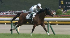 生まれた年のダービー馬で年齢バラしたことあったわ