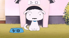 犬の画像だけでどのアニメか当てるトピ