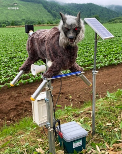 【朗報】韓国人「日本のクマ撃退ロボット、クマより怖い」