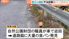 【恐怖】鳥取の県道で連日〇〇〇が大量にバラまかれる…