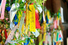 【修羅の場】脳梗塞と腎不全を患い、回復したあと、夏に実家へ帰った時の七夕で短冊に…