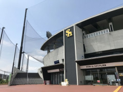 ホークス２軍、阪神・ 平田監督にほめられる「スイングのスピードといい、体の大きさといい」