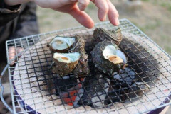 【悲報】もう限界だから七輪と煉炭用意した
