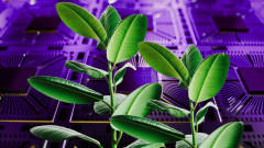 生きた細菌を「トランジスタ」に見立てた生体回路を開発、植物への応用を目指す