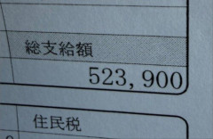 【画像】やっぱ時代はトラックドライバーか！　30歳で総支給額50万円超え