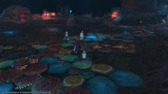【FF14】低レベルID、初心者には意外と難しい？「サスタシャとかカルンは優しくない」