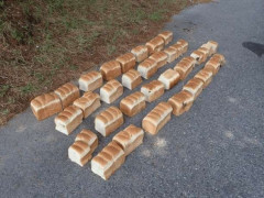 〈大山で謎の不法投棄〉大量の食パンの次は「鶏の内臓」…7日間で5日も繰り返される怪行動、警察も捜査「落としたとは考えにくい」