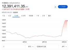 ビットコイン、大暴騰してしまう