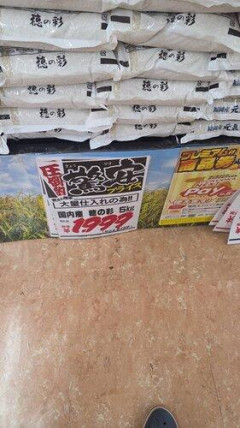 【朗報】国産米、いよいよ5Kgが2000円程度にまで下がる