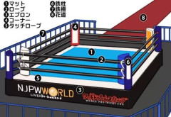【爆笑】3大プロレス名言「時は来た、それだけだ」「なにコラたこコラ」