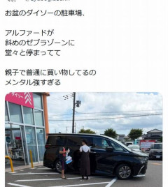 【画像】「アルファードが店舗入口の真ん前に停めてるｗ晒したろ」→お盆休みのせいかとんでもない画像になる