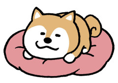 【画像】イッヌさんが並んで寝てる姿、可愛すぎるｗｗｗｗｗｗｗｗｗｗｗｗｗｗｗｗ