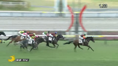 カレンブーケドールの仔『ハムタン』が4戦目で初勝利！【ウマ娘民の反応】
